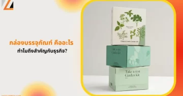 กล่องบรรจุภัณฑ์ชาแบบพรีเมียมที่ออกแบบสีสันสดใส เหมาะสำหรับสินค้าแบรนด์เครื่องดื่ม